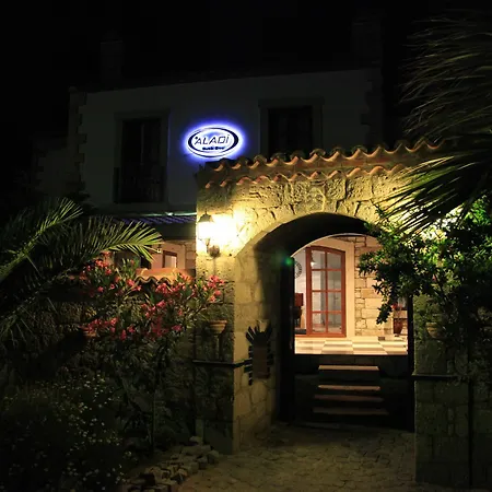 酒店 Aladi 阿拉恰特